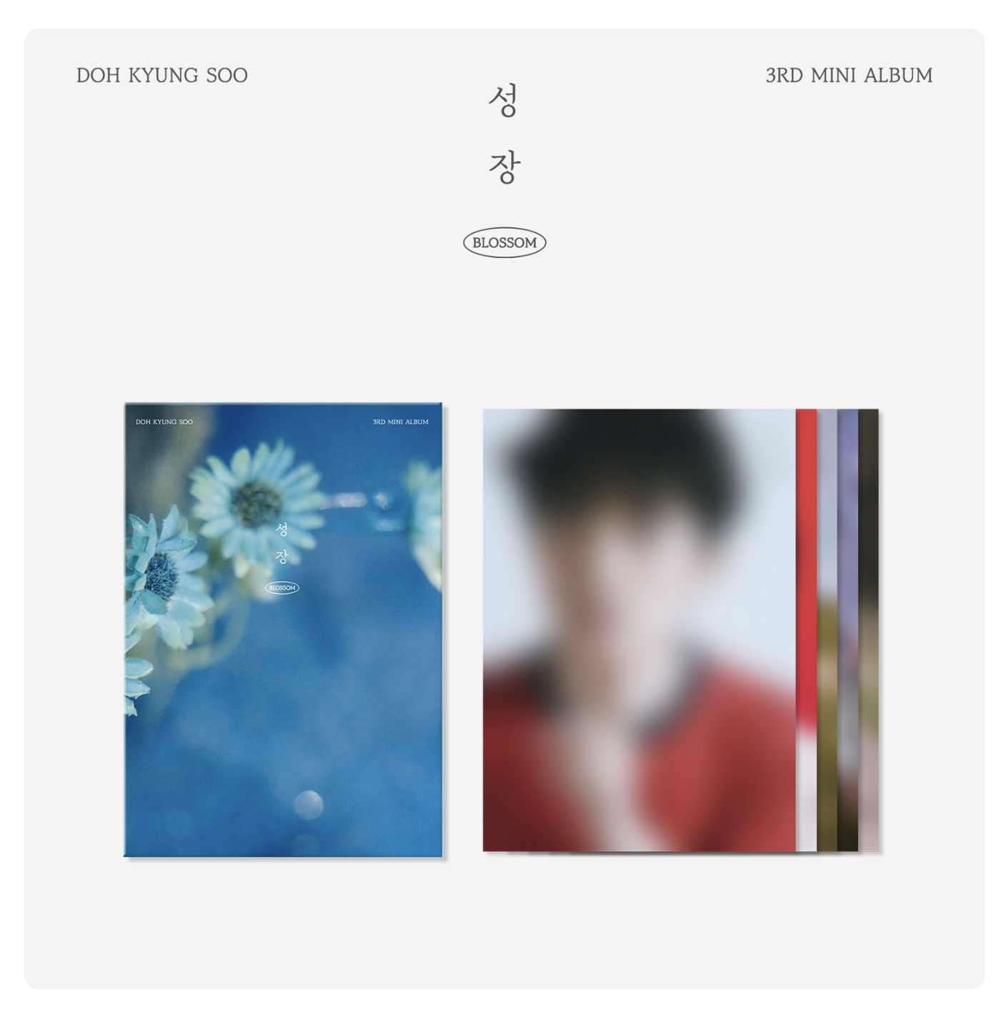 D.O. - (DOH KYUNG SOO) [성장] - BLOSSOM OFFICIAL MD - MINI POSTER SET