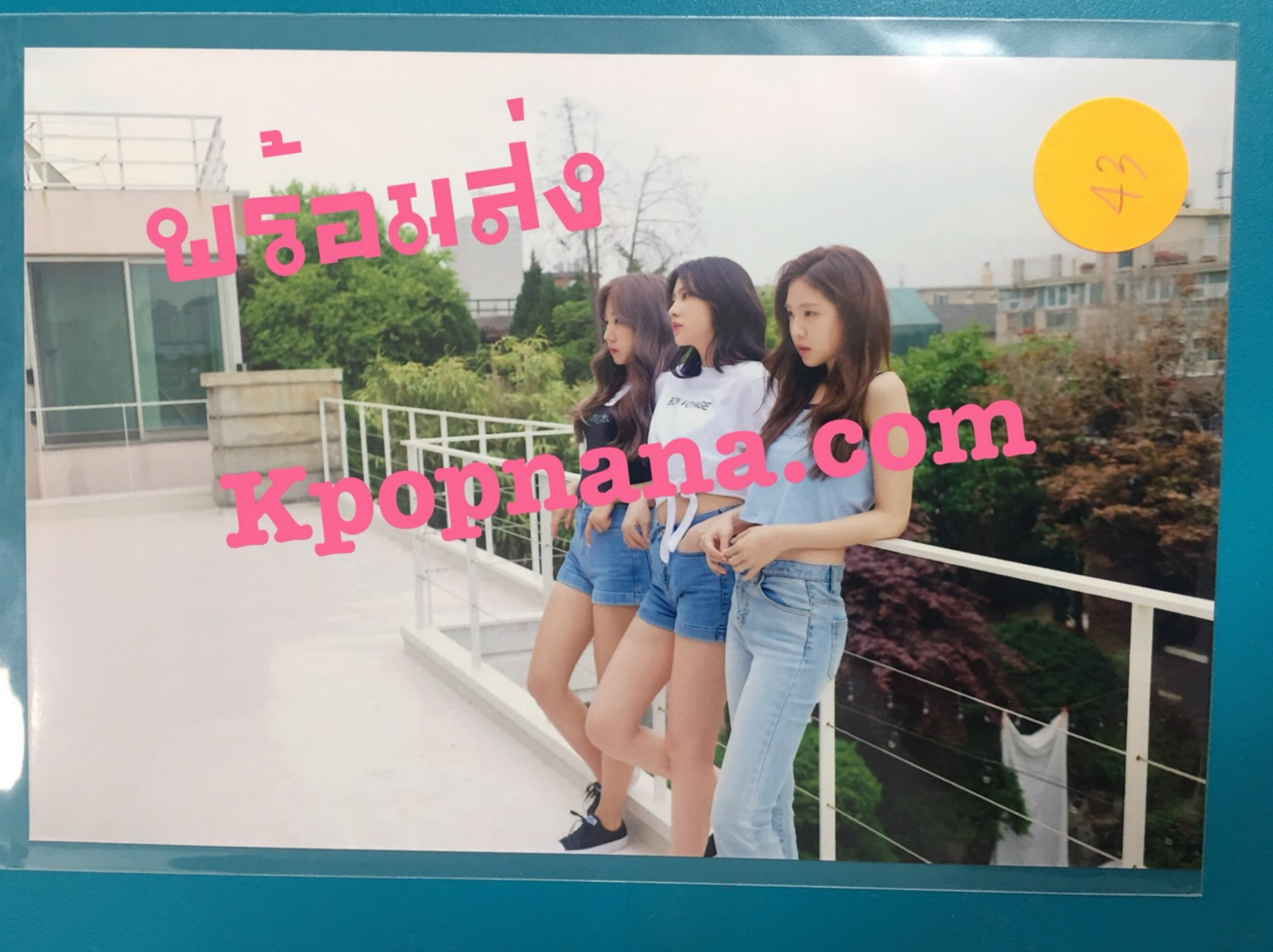 Apink- ของสะสม [PINK UP] - photo ราคา แผ่น ละ 80 บาท แบบที่ 15 - พร้อมส่ง