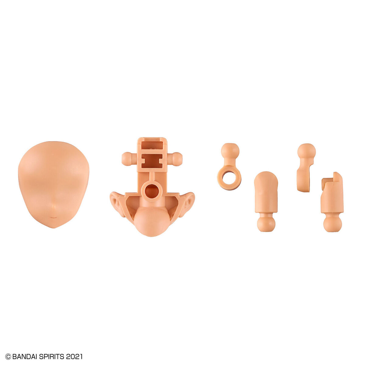 30MS Option Parts Set 8 (Scout Costume) (Color C)