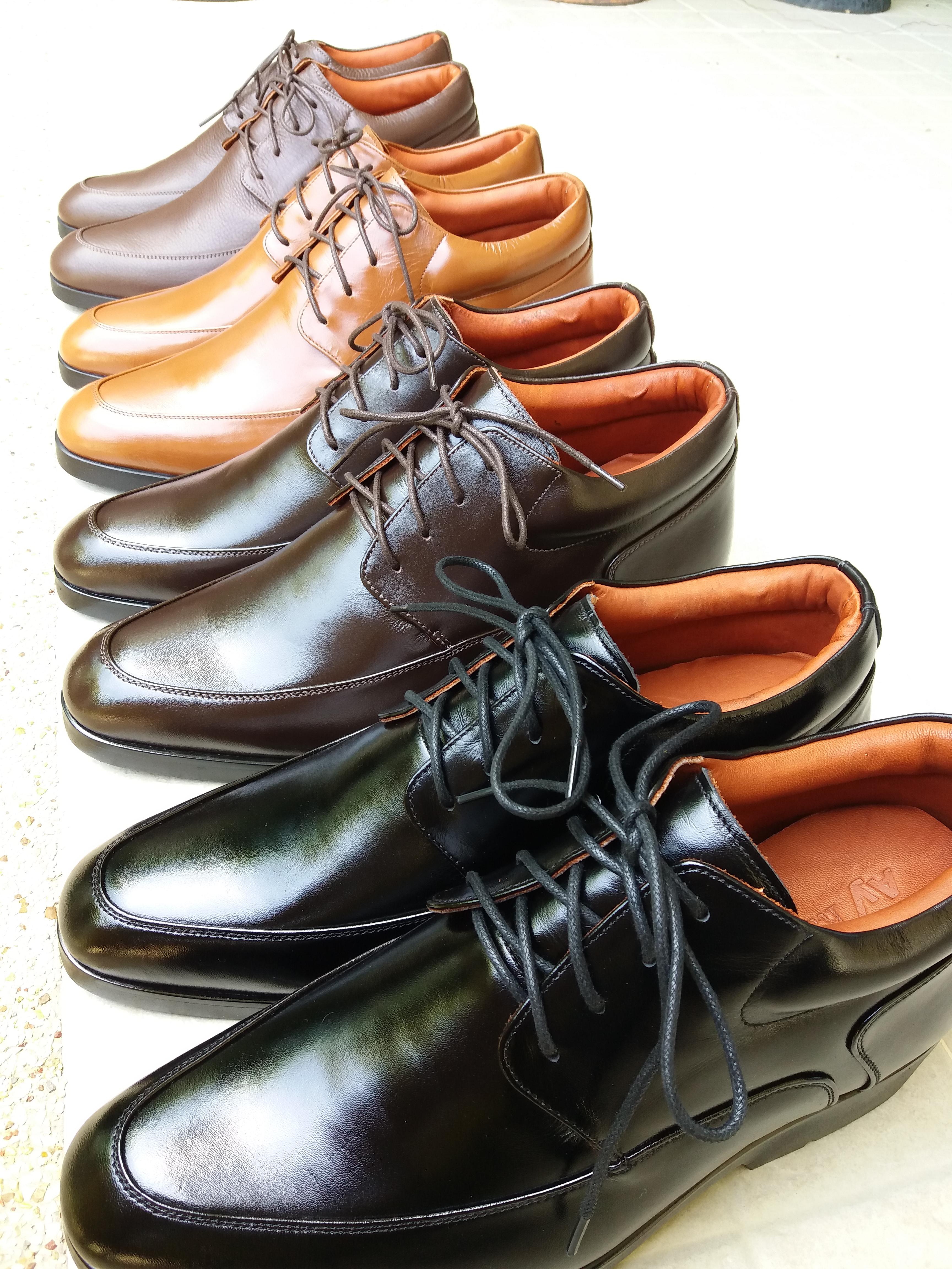 Activo (Brown ZR) 8.5 cm.
