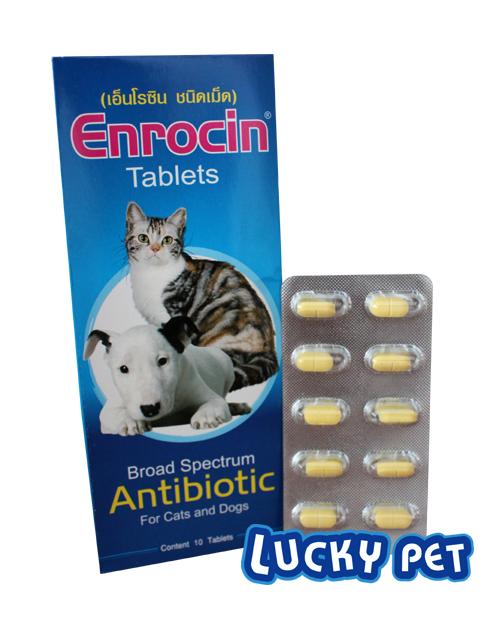 เอ็นโรซิน ชนิดเม็ด (ENROCIN) 1 แพ็ค