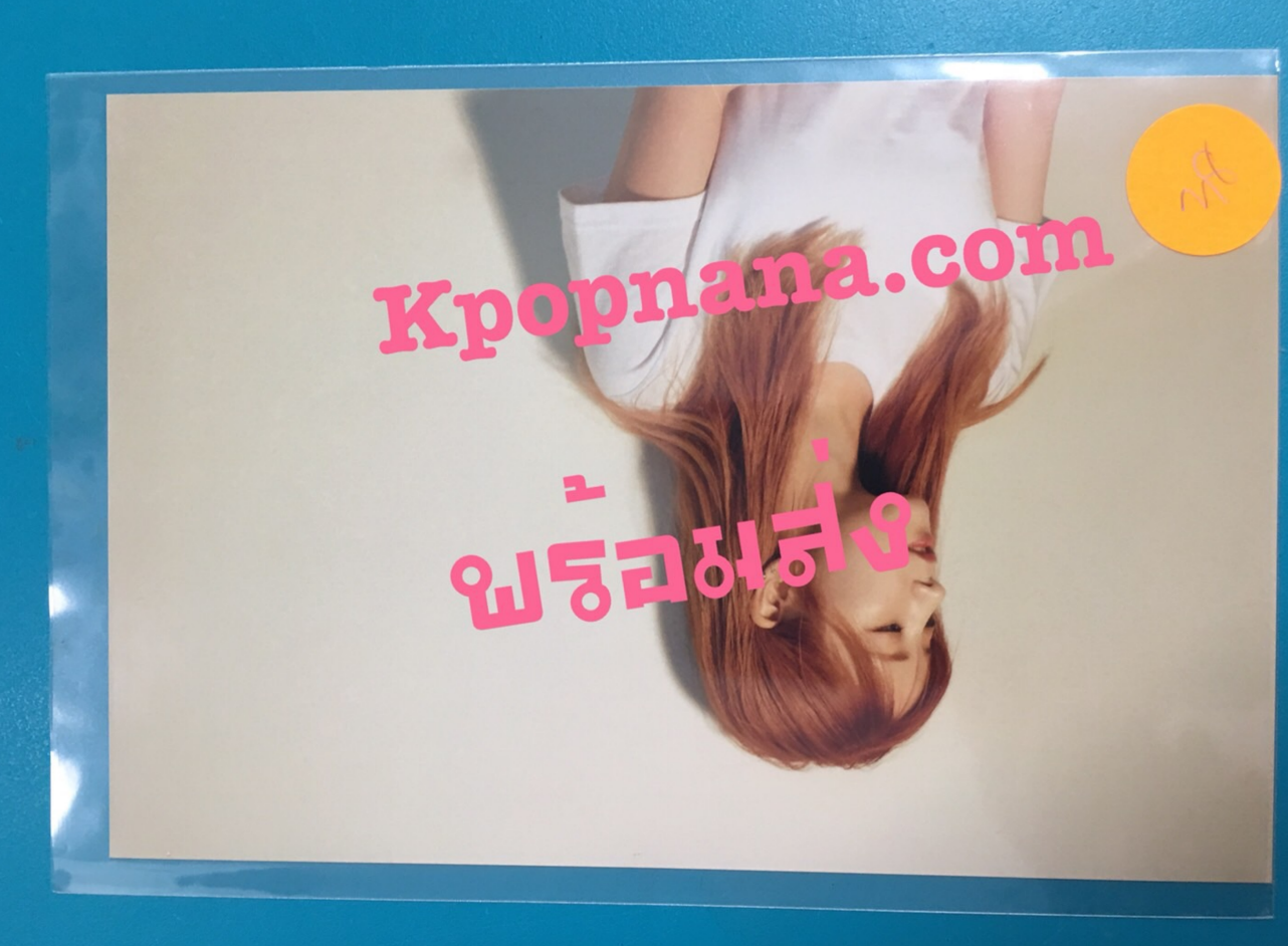 Apink- ของสะสม [PINK UP] - photo ราคา แผ่น ละ 80 บาท แบบที่ 9 - พร้อมส่ง