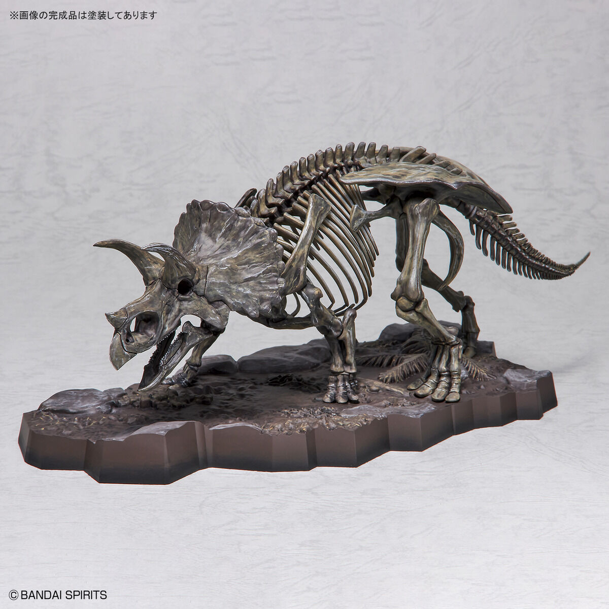 Imaginary Skeleton Triceratops