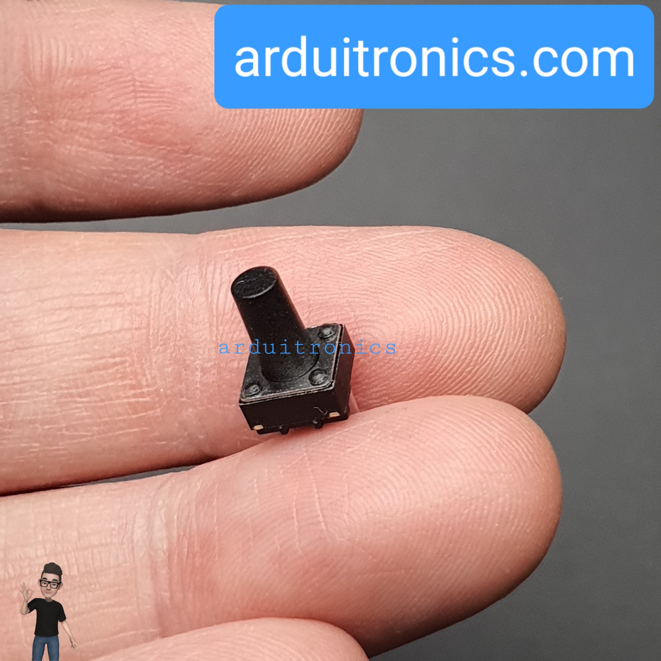 Tact Switch 6X6x10mm ไมโครสวิตช์ กดติดปล่อยดับ 2 ขา (หัวกลม)