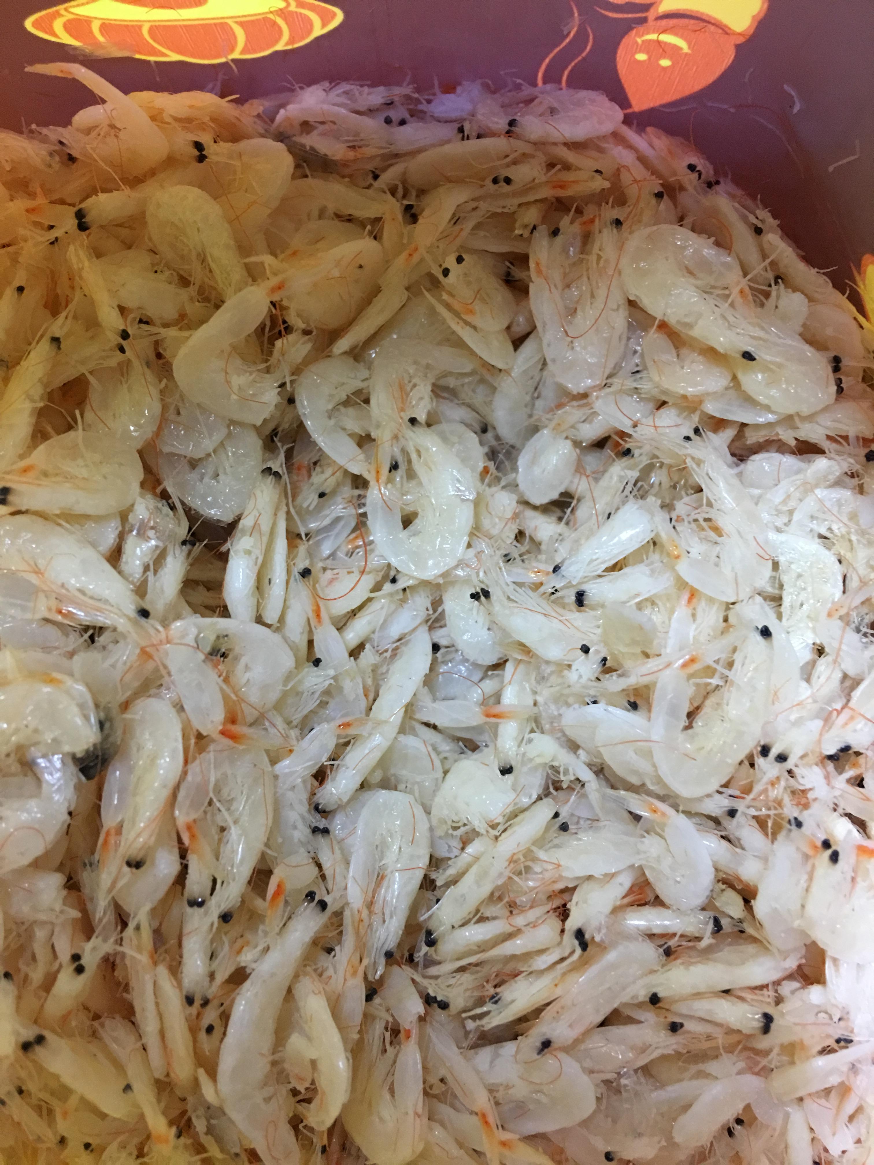 กุ้งฝอยขาว