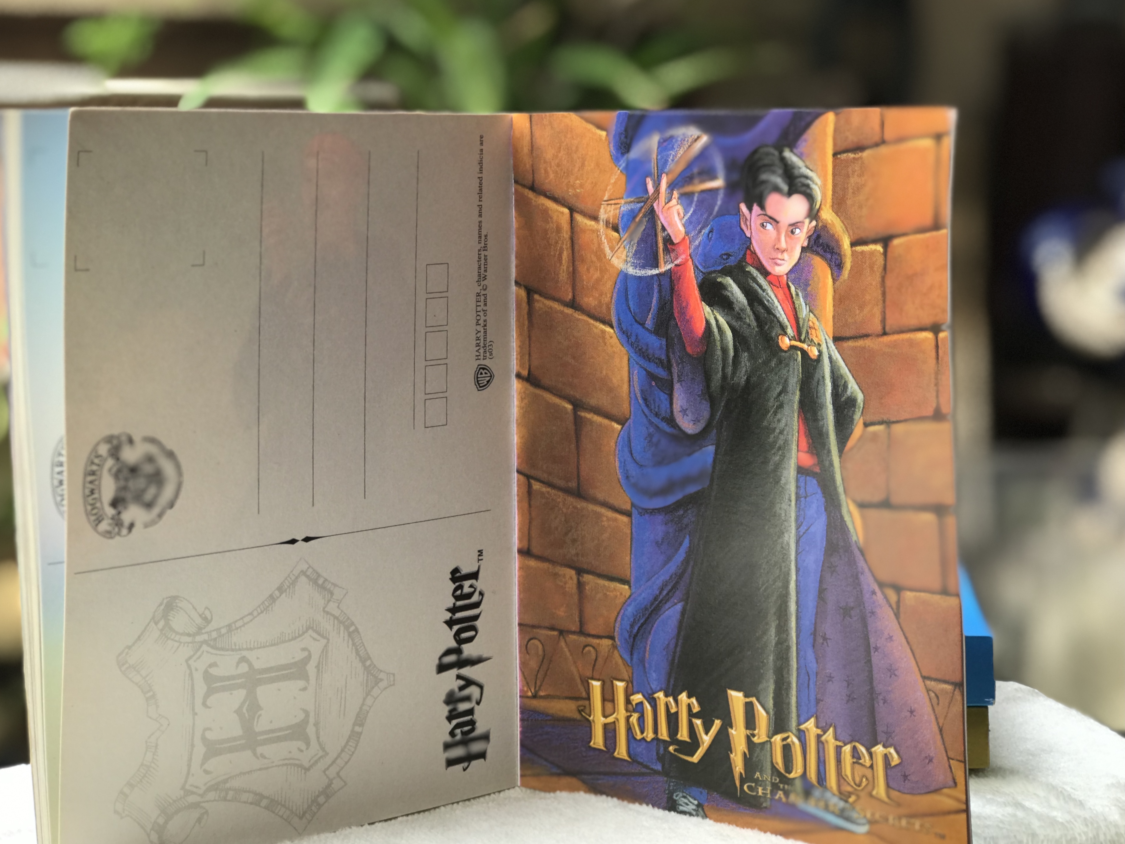 ราคาต่อเล่ม โปสการ์ดแฮร์รี่ พอตเตอร์ ในแต่ละเล่มมี 20 ใบ Postcard - Harry Potter and The Sorcerer's Stone / The Chamber of Secrets