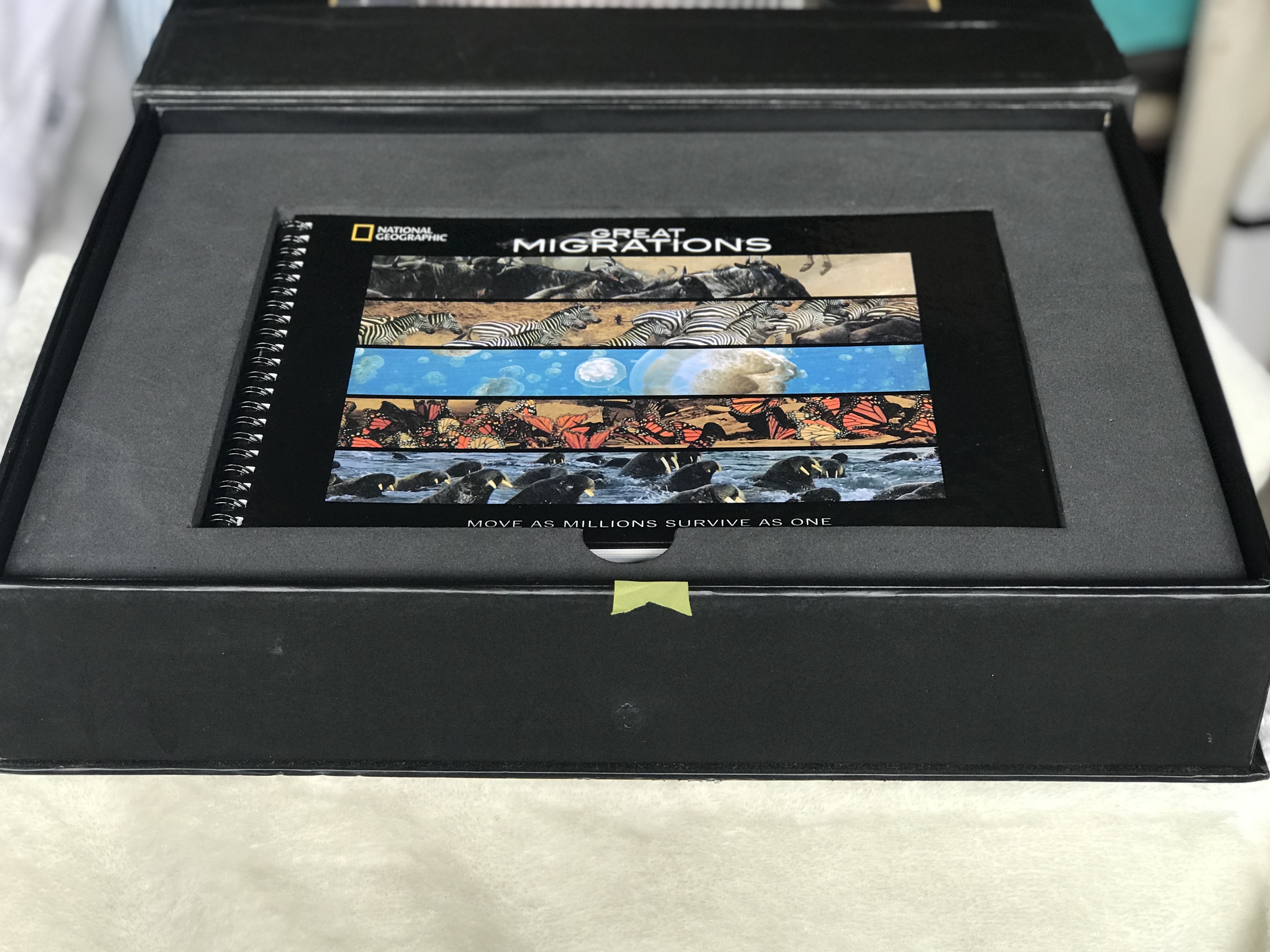 Box Set- National Geographic DVD ดีวีดีสารคดี GREAT MIGRATIONS MOVE AS MILLIONS SURVIVE AS ONE
