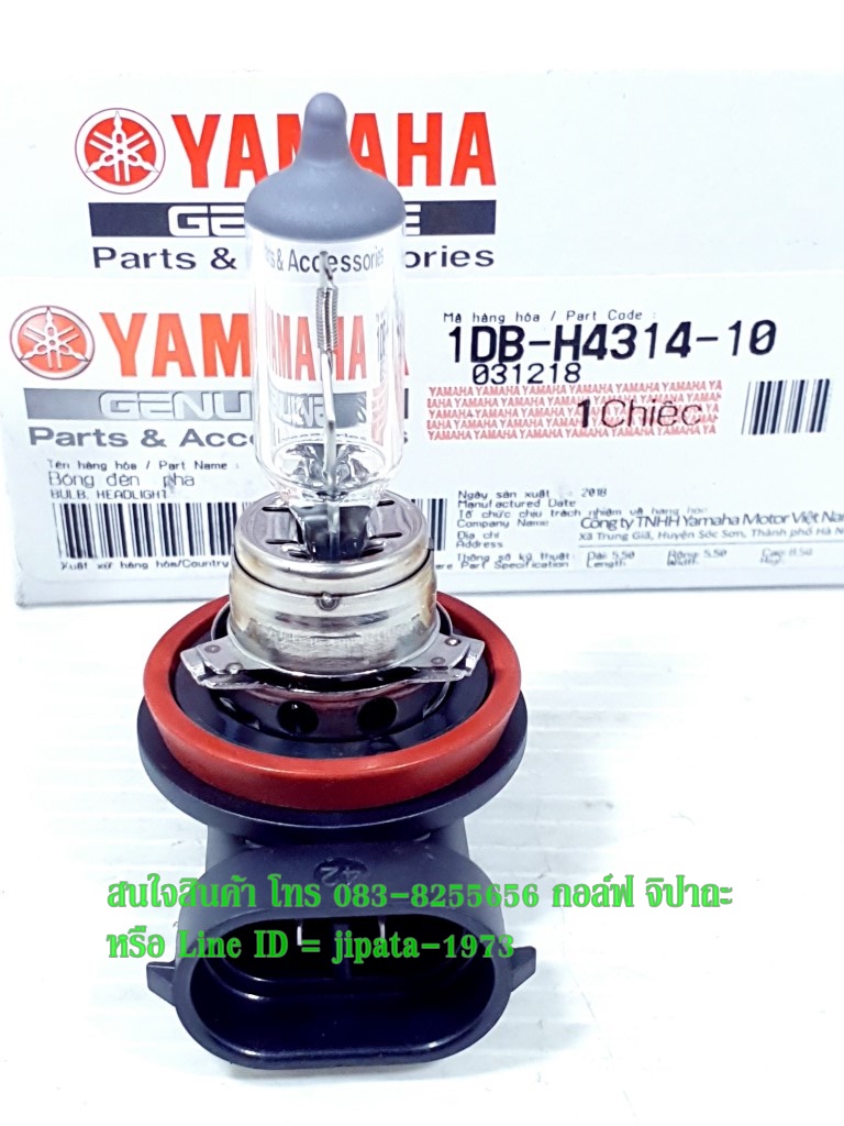 (Nouvo SX,GPX Demon) หลอดไฟหน้า ขั้ว H11 12V/55W แท้