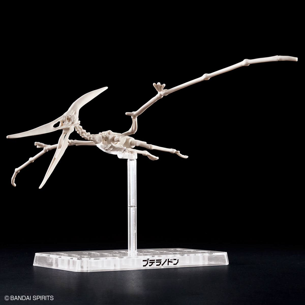 Plannosaurus Pteranodon