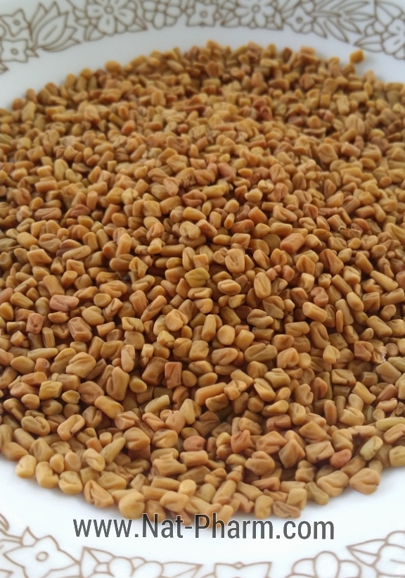 Organic Fenugreek 100g. (ลูกซัด ปลอดสาร ขนาด 100 กรัม)