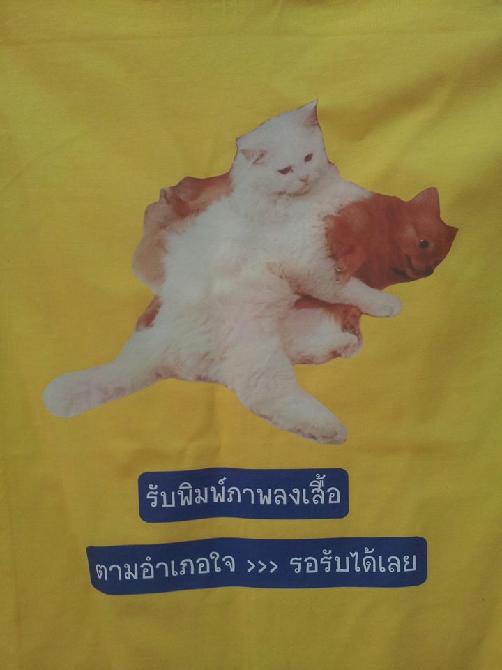 เสื้อยืด Cotton 100% สกรีนได้ตามใจชอบ