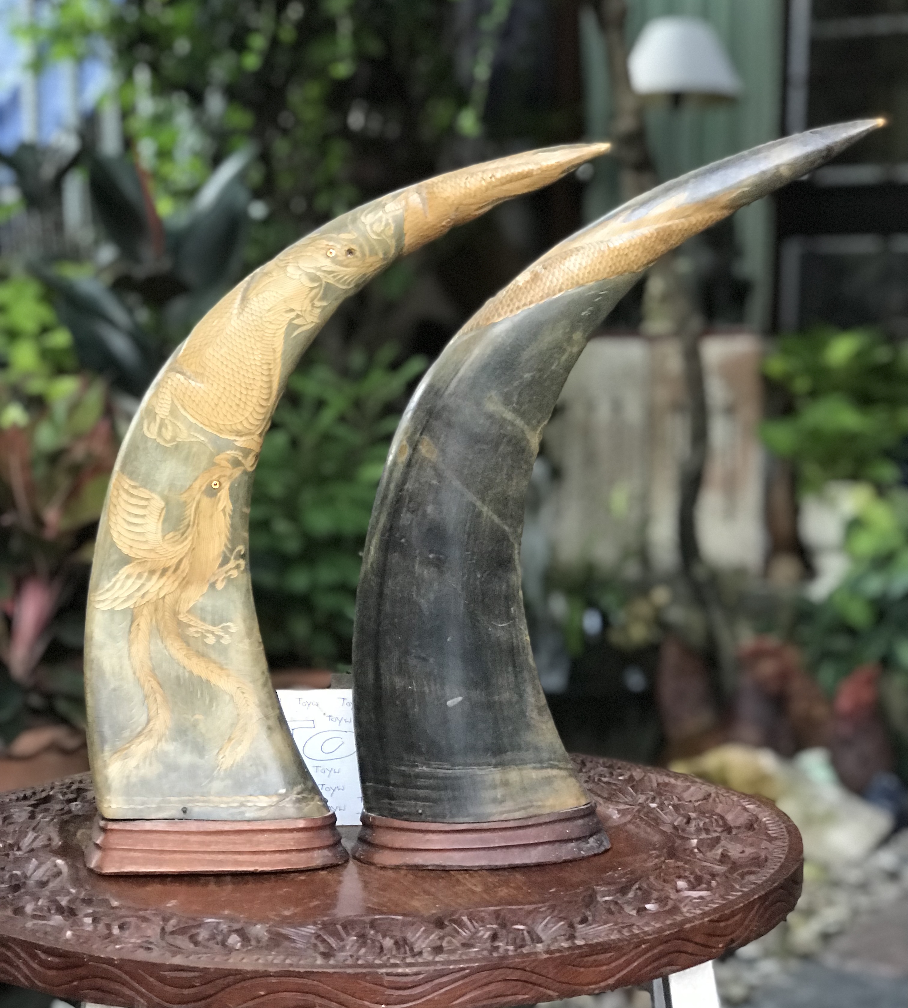 เขาควายแกะลายหงส์ และมังกร มีตำหนิปลายเขาเล็กน้อย ดูภาพสุดท้าย ขนาดสูง 15.5 นิ้ว