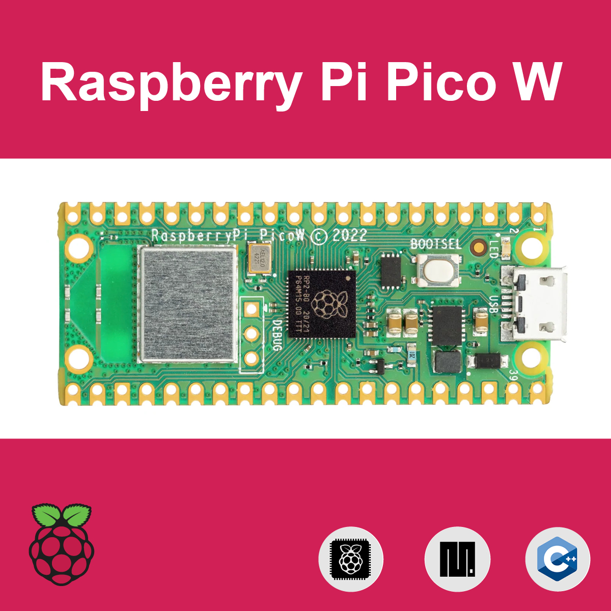 Raspberry Pi Pico W (RP2040 chip, Wi-Fi & Bluetooth 5.2 supported ...