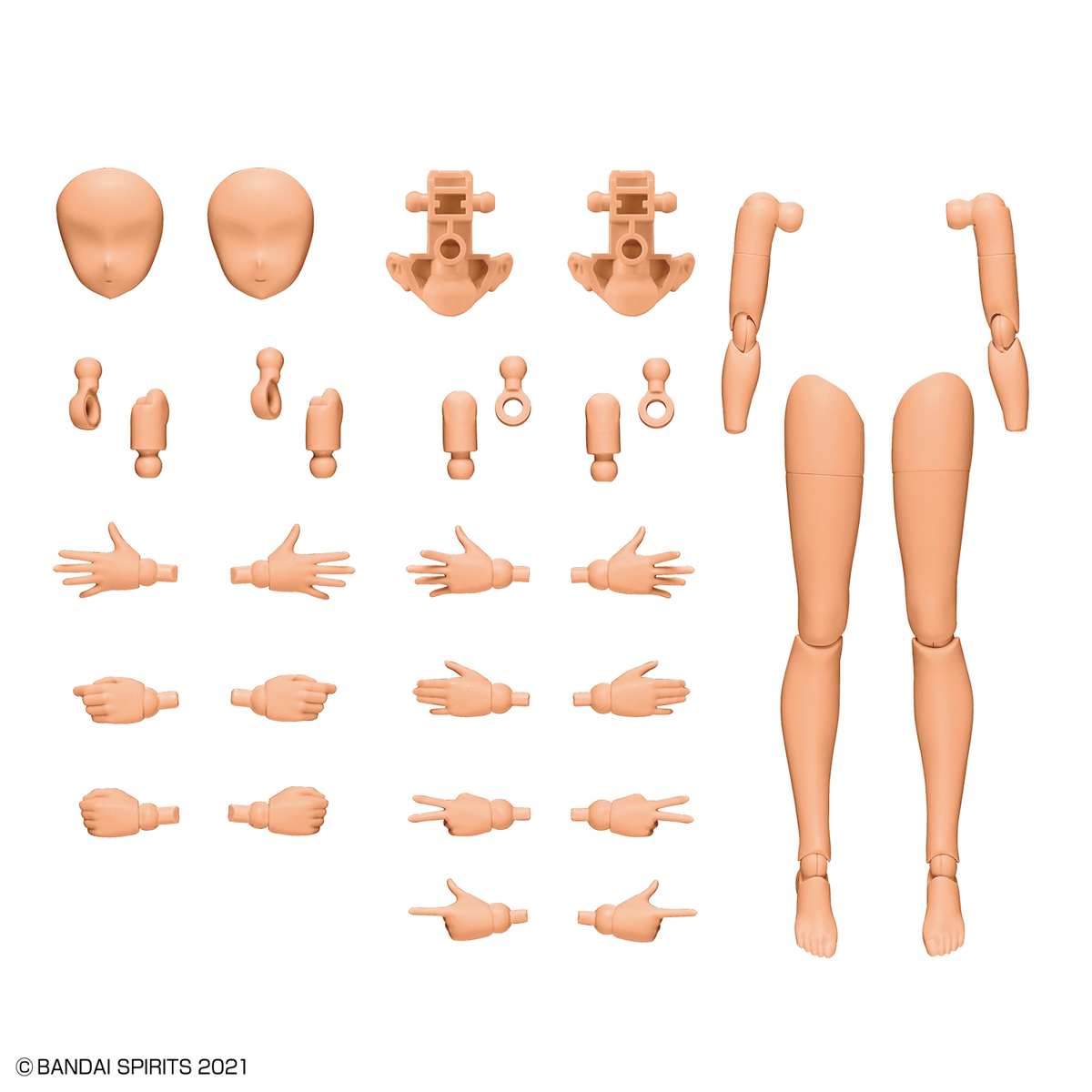 30MS Option Body Parts Arm Parts & Leg Parts [Color C]