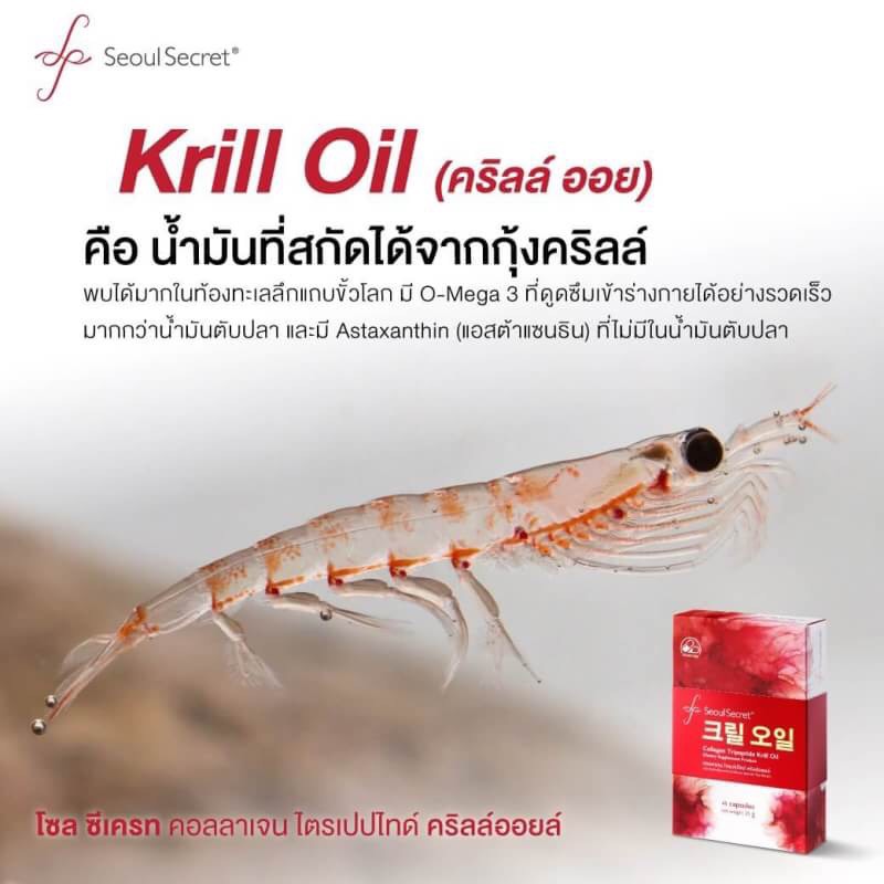 Seoul Secret Collagen Peptide Krill Oil คุณค่าจากท้องทะเล สู่คอลลาเจนที่ดีที่สุด