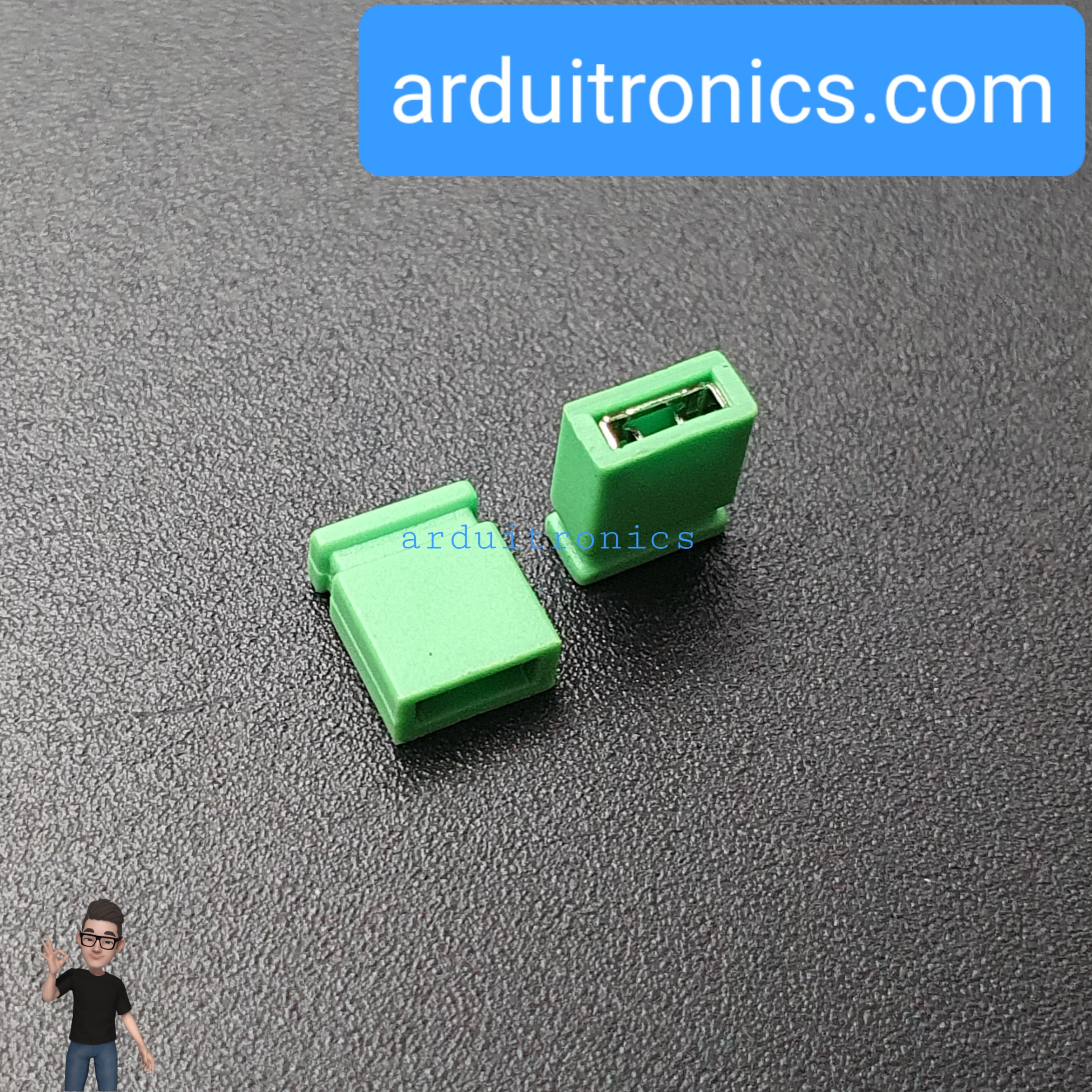 Pin Jumper - 2 Pin (ปลายปิด สีเขียว)