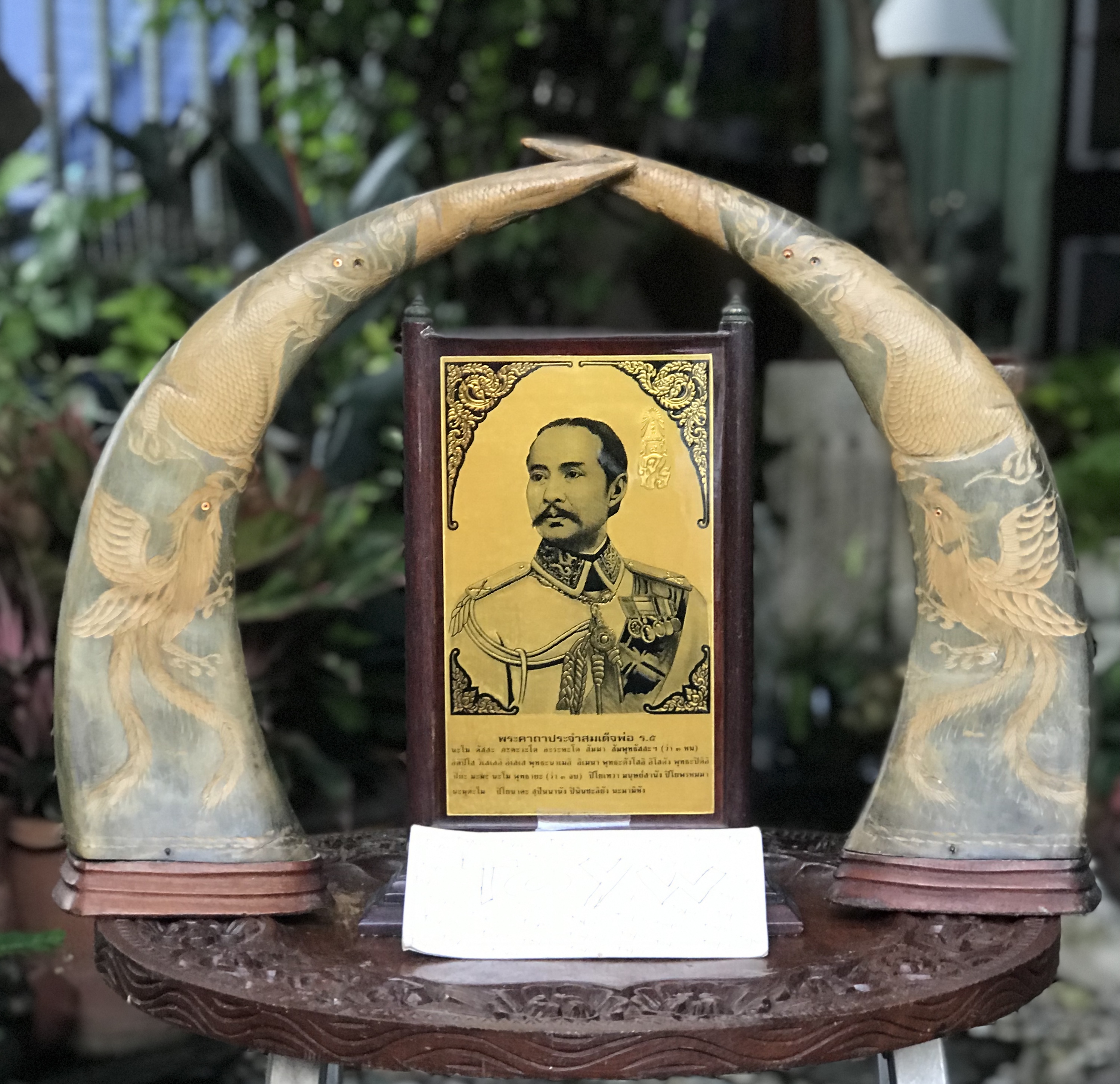 เขาควายแกะลายหงส์ และมังกร มีตำหนิปลายเขาเล็กน้อย ดูภาพสุดท้าย ขนาดสูง 15.5 นิ้ว