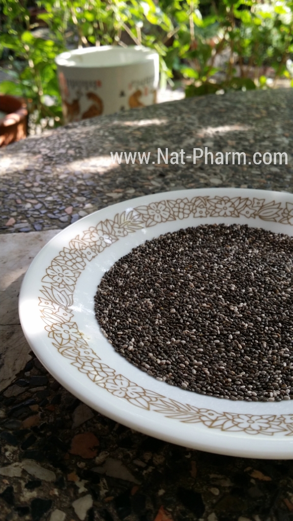 Organic Chia Seed 500g. (เมล็ดเจีย หรือ เมล็ดเชีย ปลอดสาร ขนาด 500 กรัม)