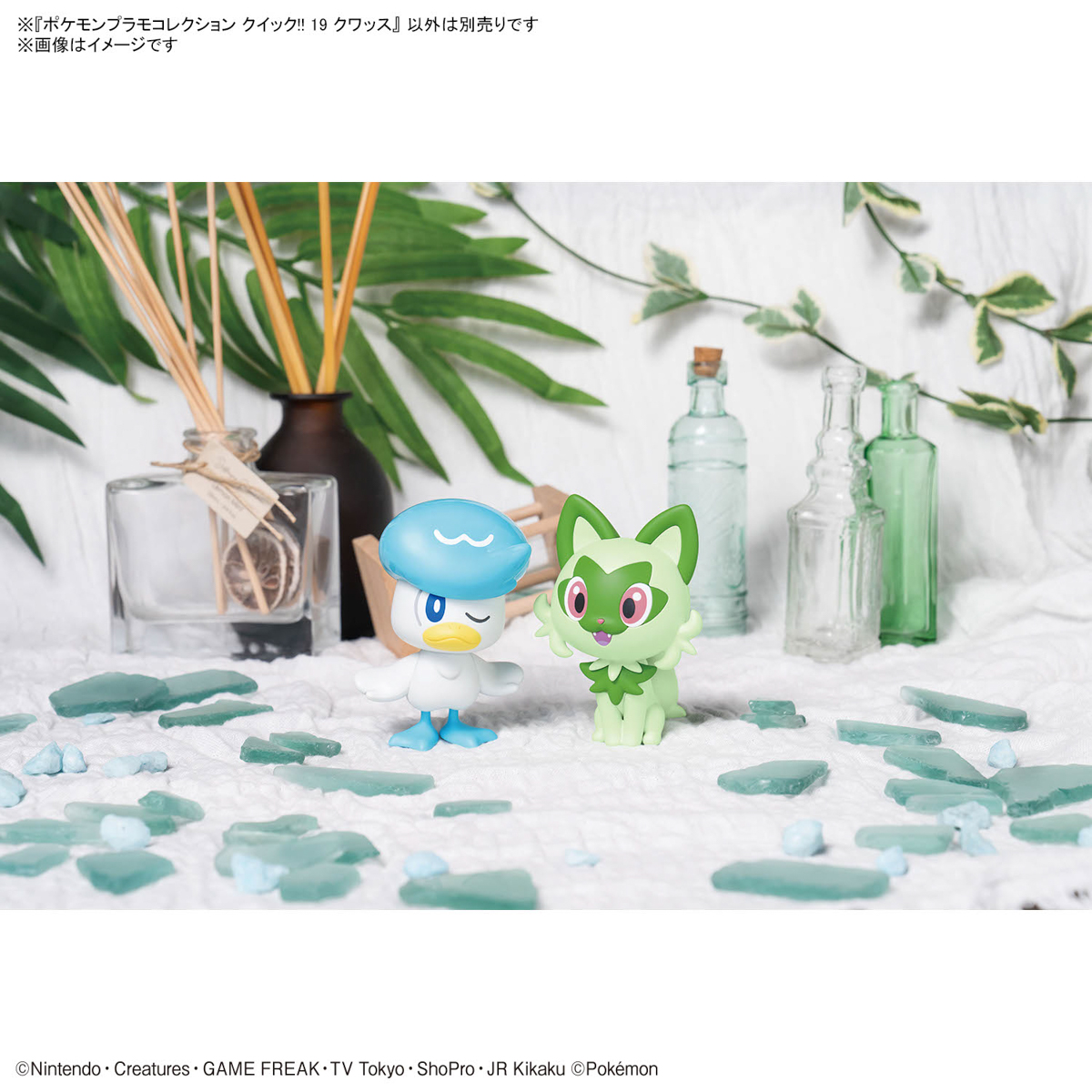 Pokemon Plamo Collection Quick!! 19 Kwass