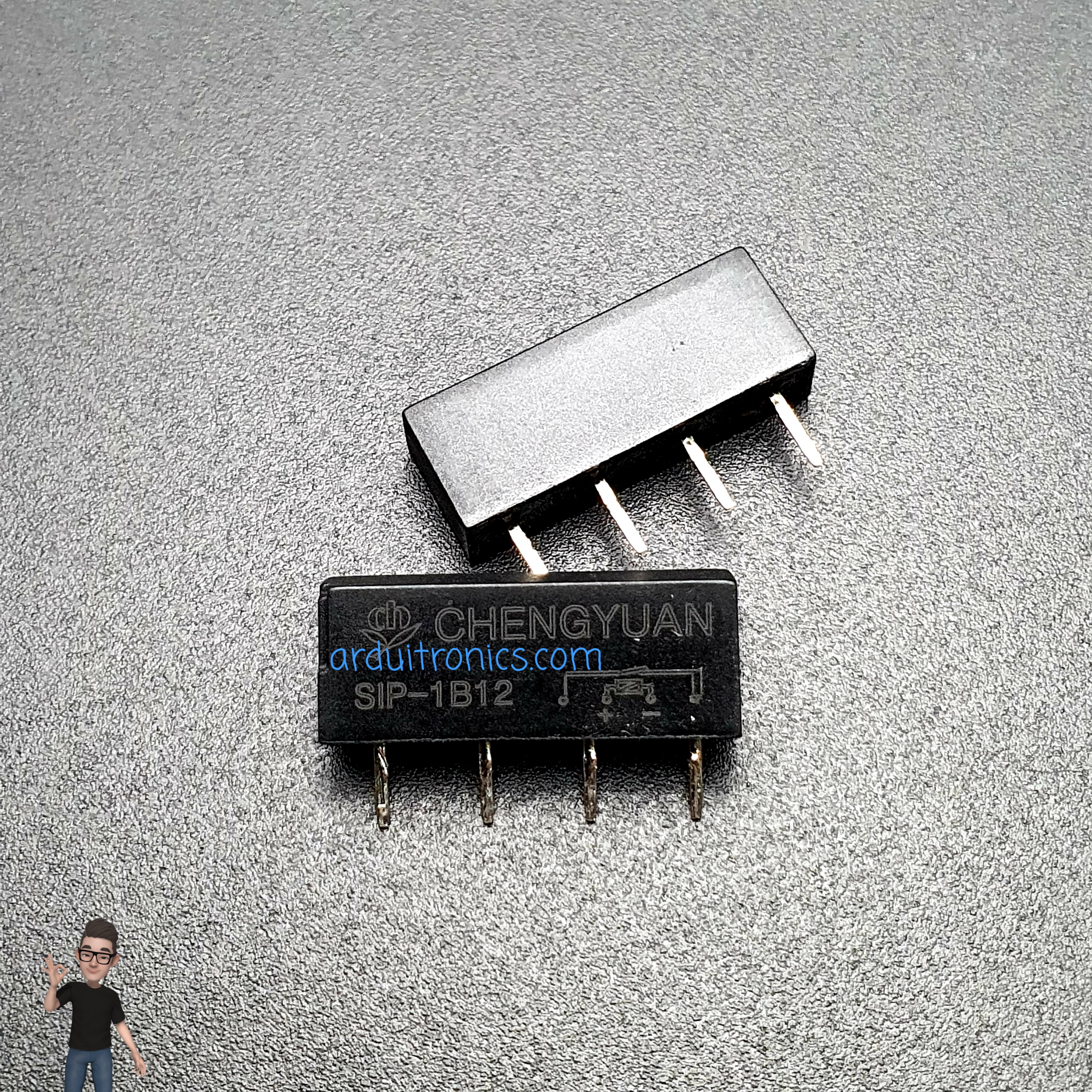 Reed Relay SIP-1B12 Normally Closed 12V (SIP-1B12)