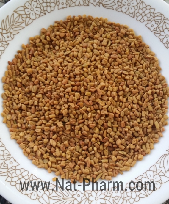 Organic Fenugreek 100g. (ลูกซัด ปลอดสาร ขนาด 100 กรัม)