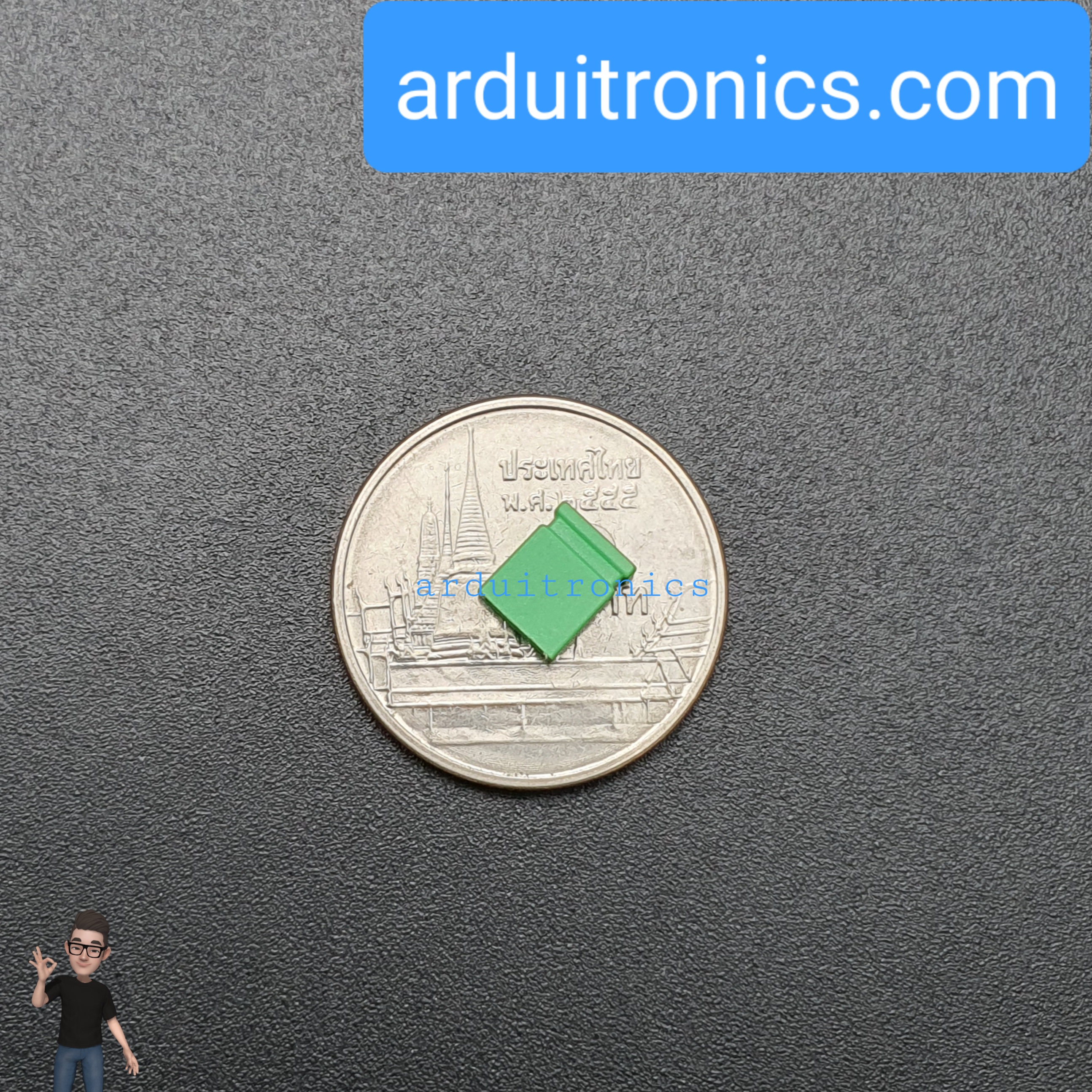 Pin Jumper - 2 Pin (ปลายปิด สีเขียว)