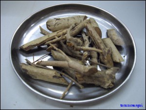 พญารากขาว
