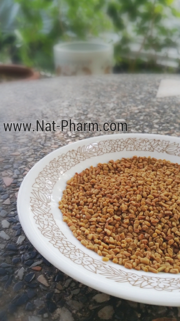 Organic Fenugreek 100g. (ลูกซัด ปลอดสาร ขนาด 100 กรัม)