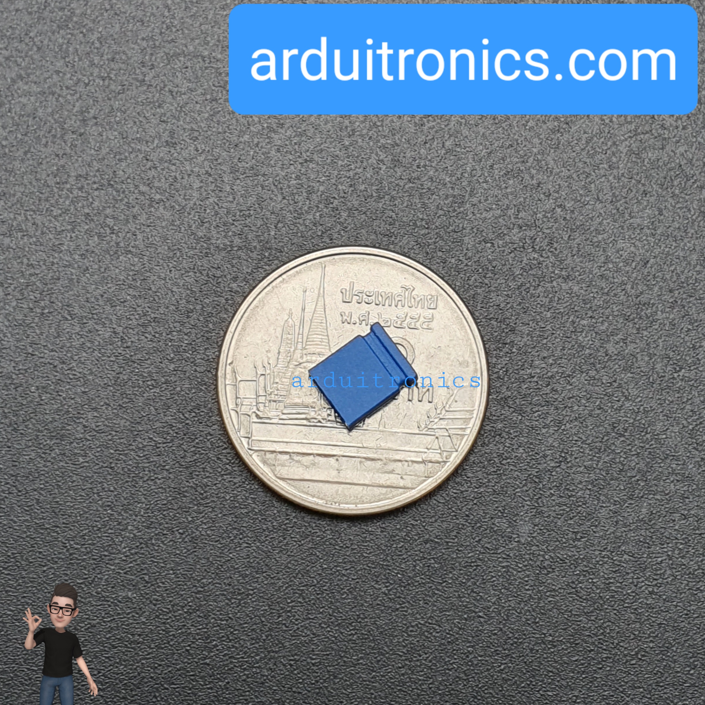 Pin Jumper - 2 Pin (ปลายปิด สีน้ำเงิน)