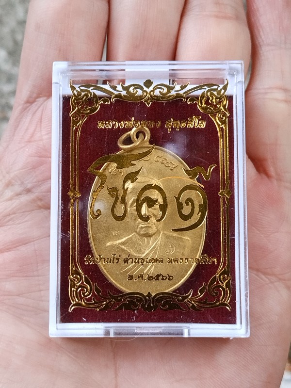 เหรียญแกะสด รุ่นโชคดี หลวงพ่อทอง วัดบ้านไร่ #๑๗