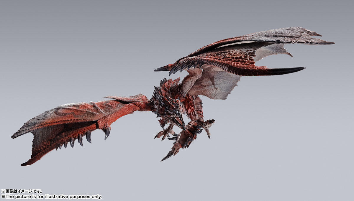 S.H.MonsterArts Rathalos