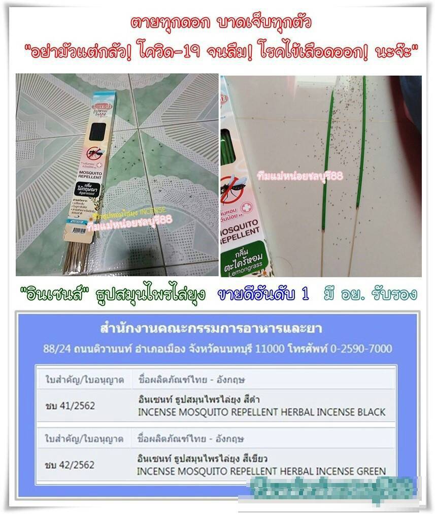 ธูปหอมไล่ยุง อินเซนส์ (2 กล่อง) กลิ่นตะไคร้หอม และ กลิ่นไม้กฤษณา