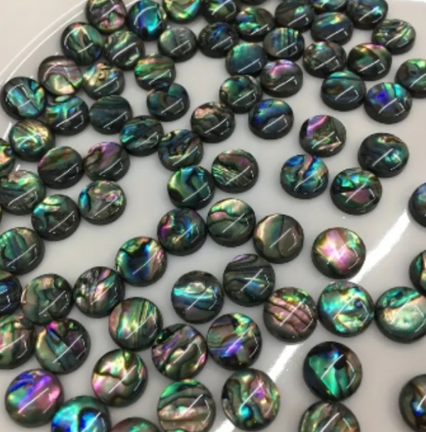 5ชิ้น เครื่องประดับเปลือกหอยนางรม