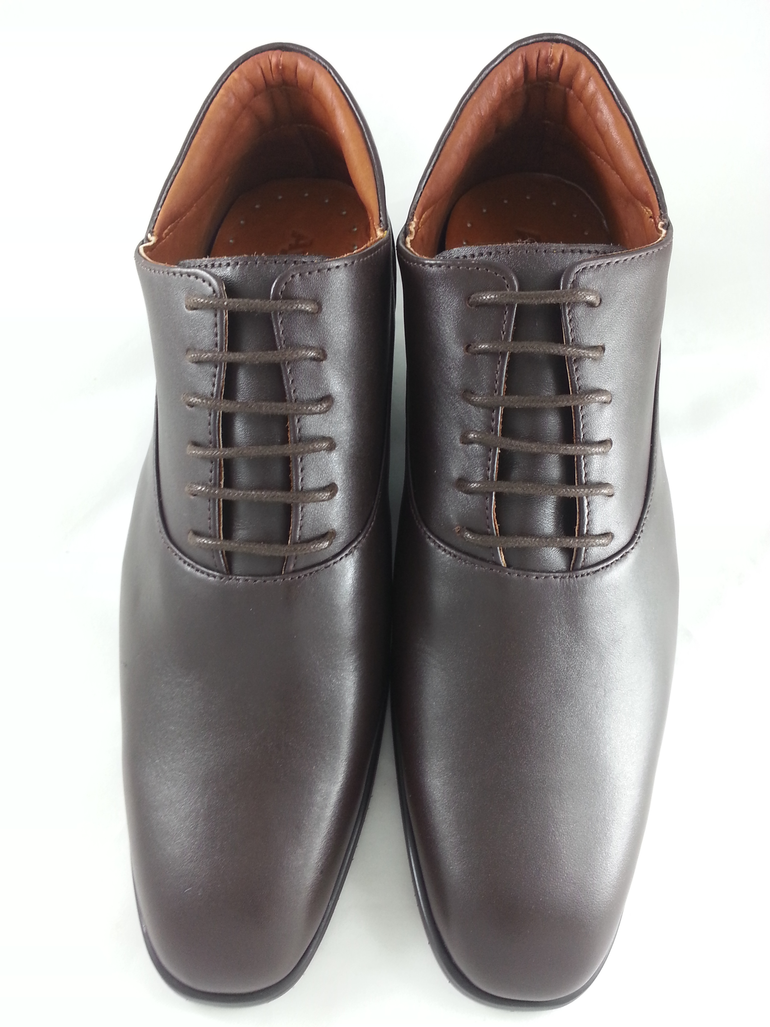 Charmo (Dark Brown) 8.5