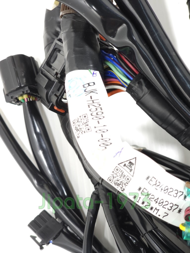 (Grand Filano) ชุดสายไฟเมน ชุดใหญ่ Yamaha Grand Filano ปี 2023 สำหรับรถรุ่น Smart Key แท้