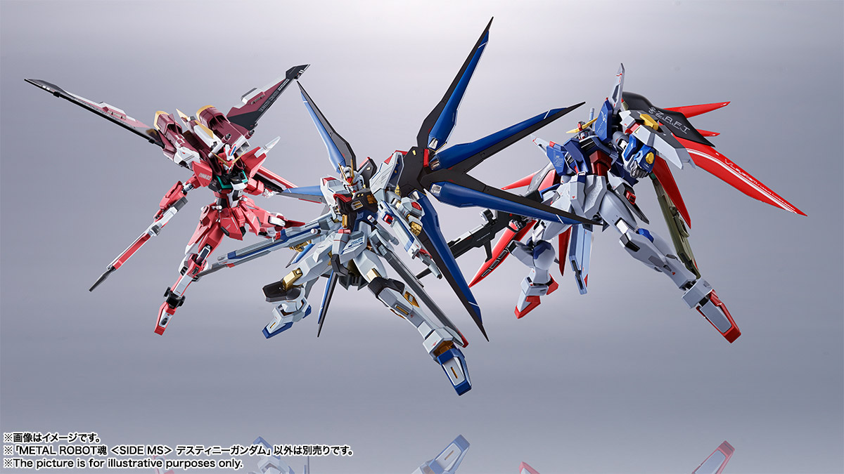 Metal Robot Spirits < Side MS > Destiny Gundam