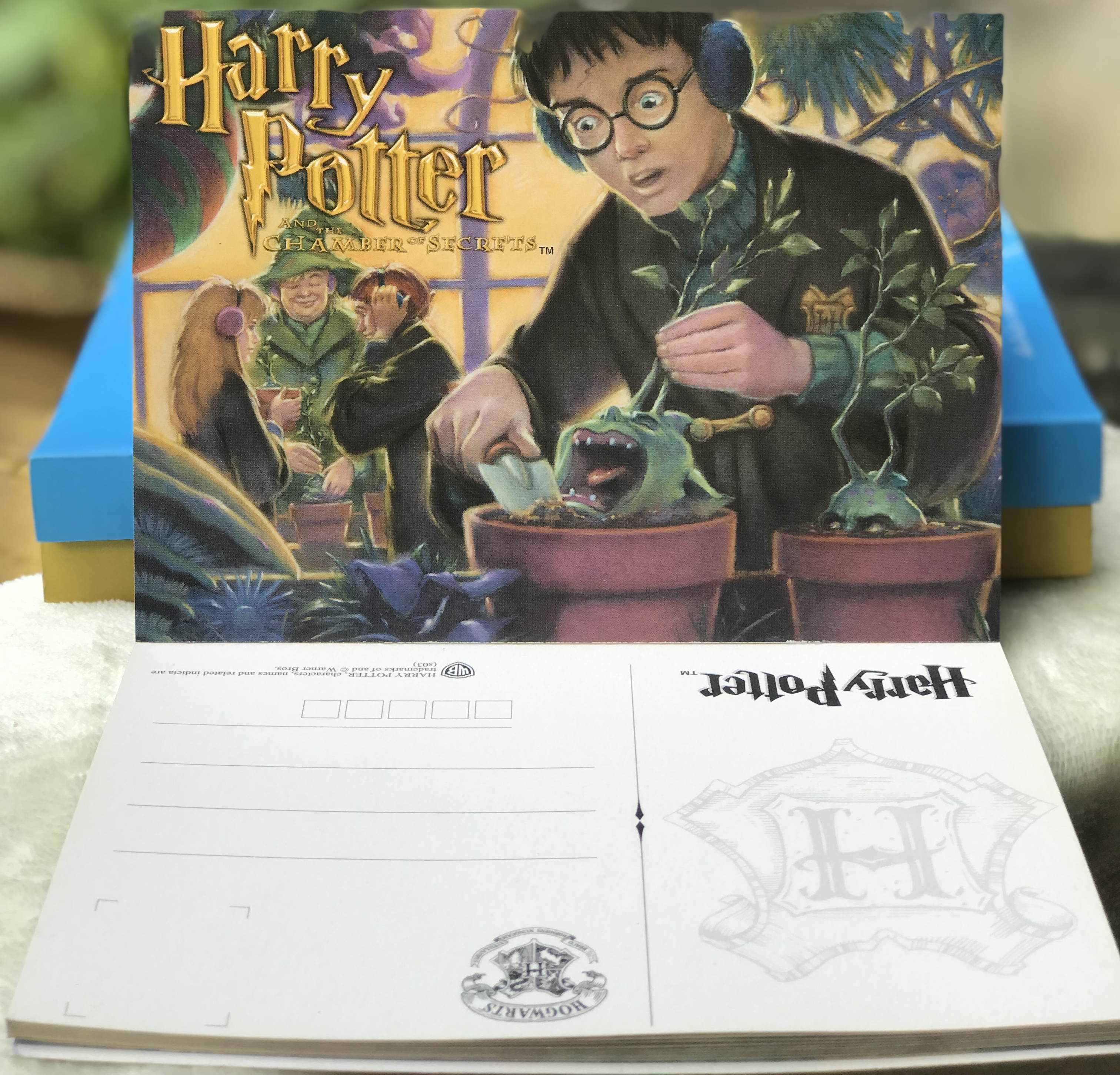 ราคาต่อเล่ม โปสการ์ดแฮร์รี่ พอตเตอร์ ในแต่ละเล่มมี 20 ใบ Postcard - Harry Potter and The Sorcerer's Stone / The Chamber of Secrets