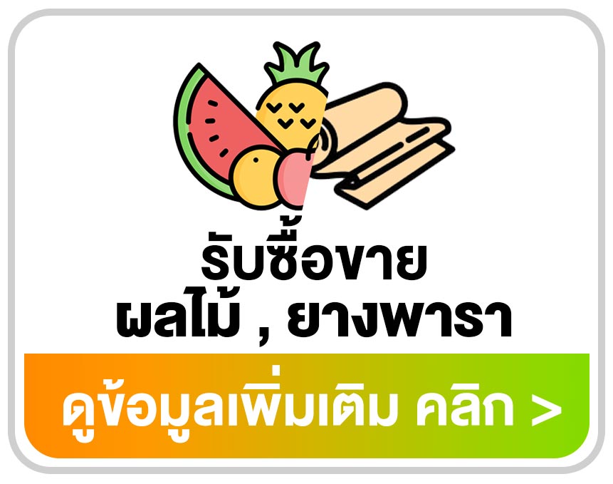 โปรแกรมรับซื้อขายผลไม้และยางพารา จัดการสต๊อกและออกบิล