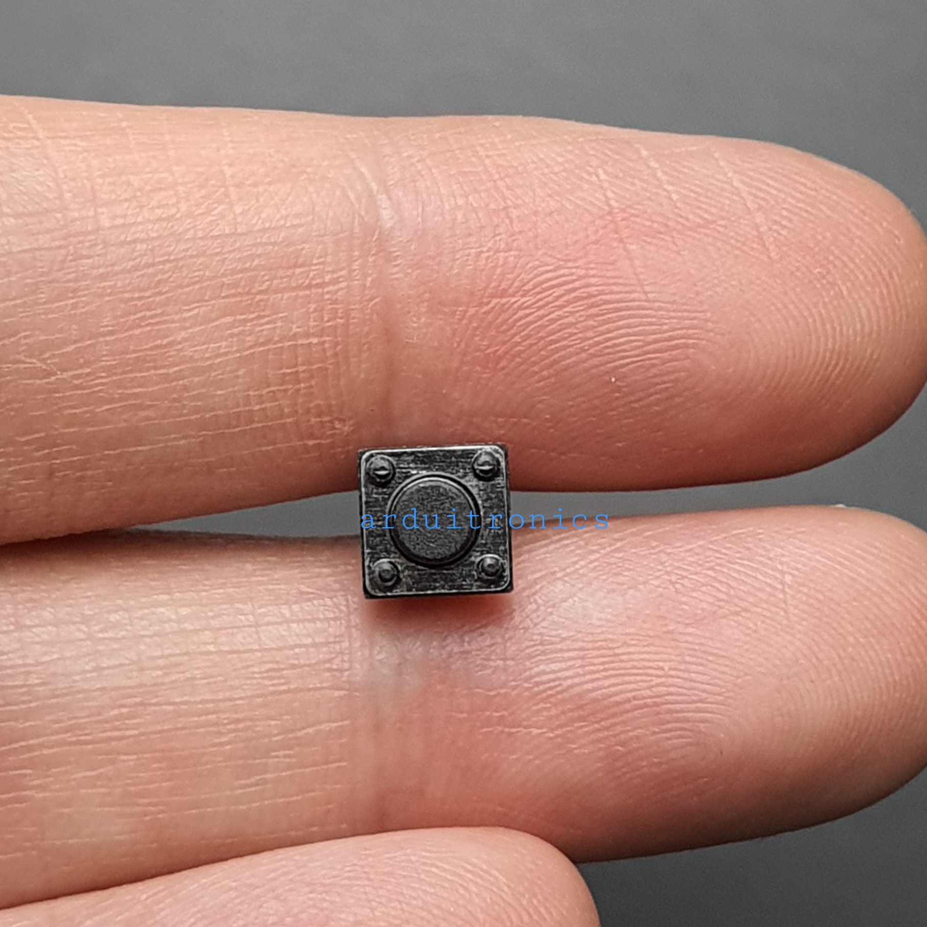 Tact Switch 6X6x5mm ไมโครสวิตช์ กดติดปล่อยดับ 2 ขา (หัวกลม)