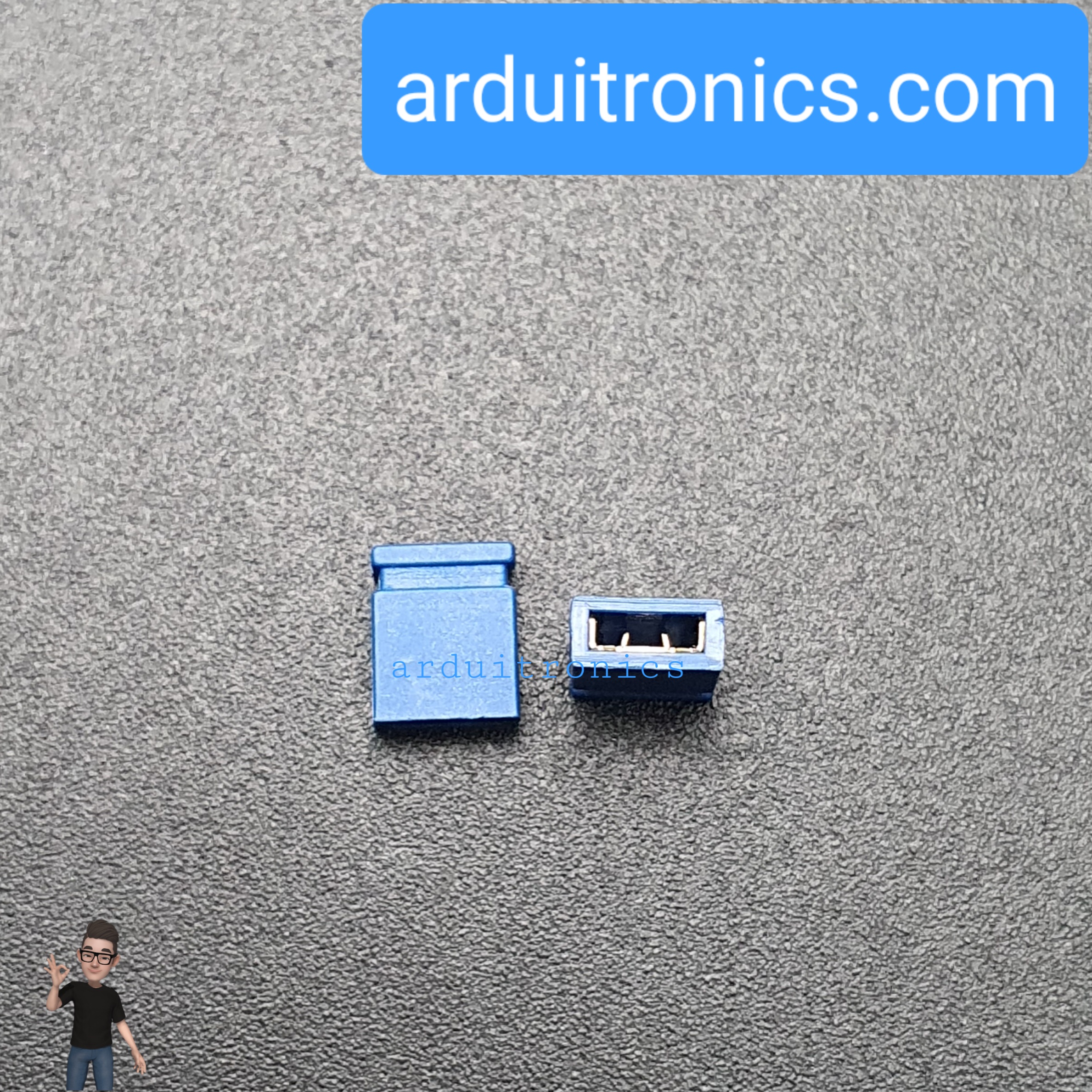 Pin Jumper - 2 Pin (ปลายปิด สีน้ำเงิน)