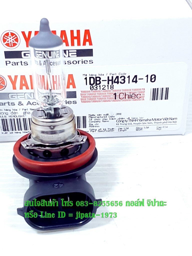 (Nouvo SX,GPX Demon) หลอดไฟหน้า ขั้ว H11 12V/55W แท้