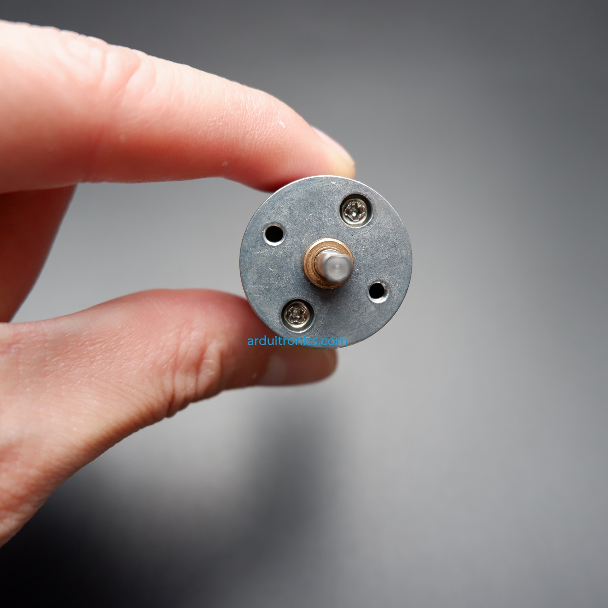 Magnet DC High Speed Motor (12V 1360rpm)