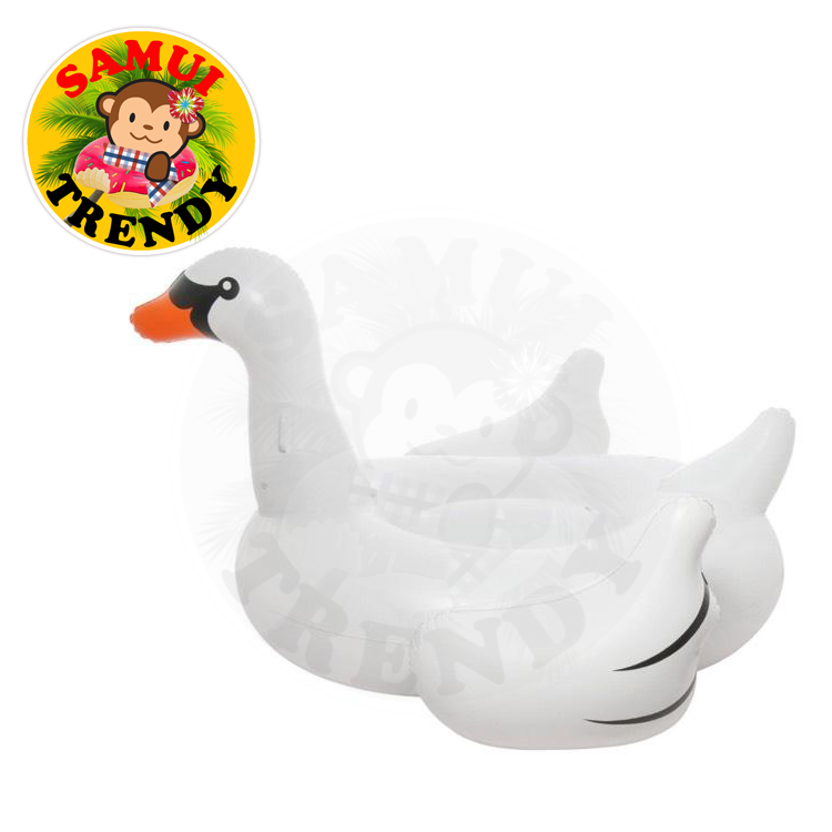 White Swan Medium