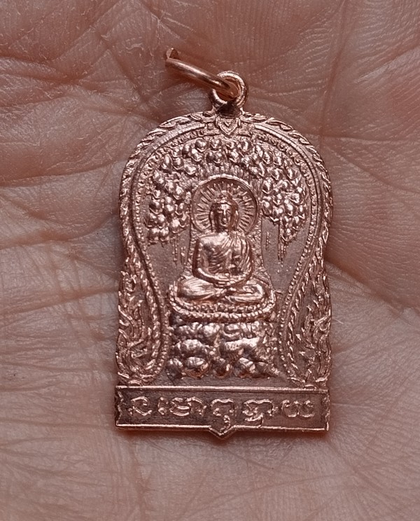 พระพุทธ ที่ระลึก นปส ปี22