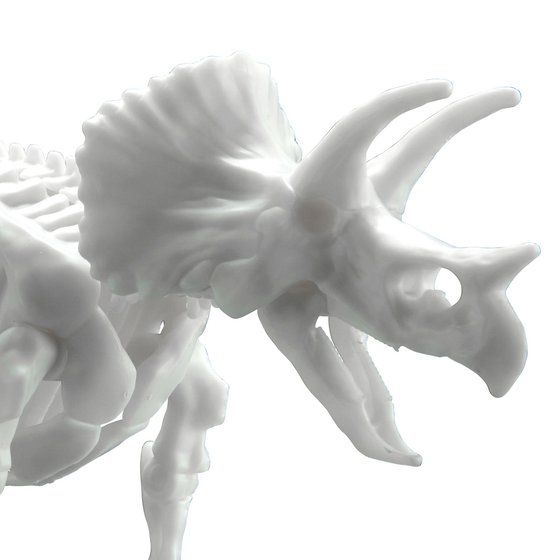 Dinosaur Model Kit Limex Skeleton Triceratops