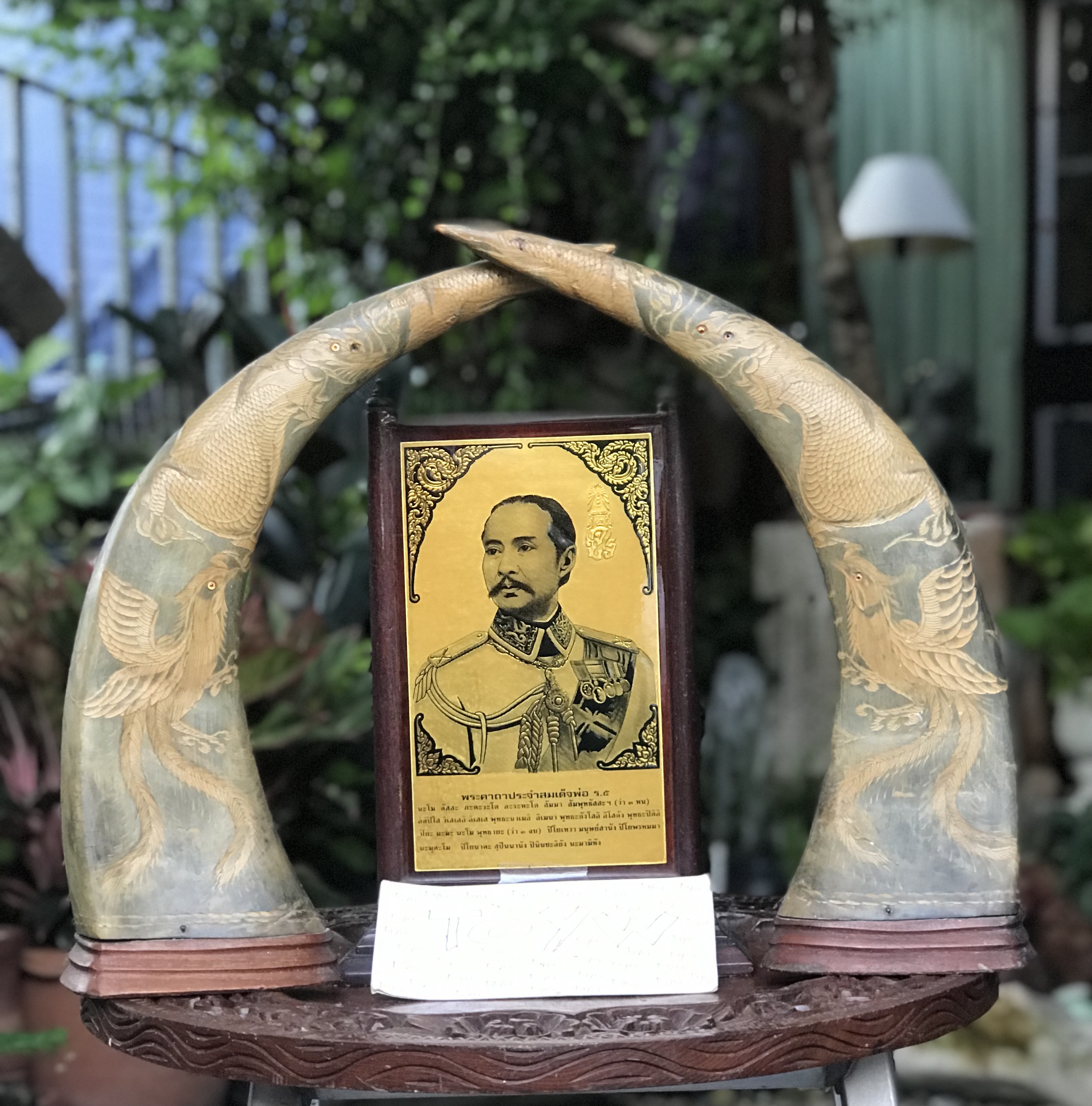เขาควายแกะลายหงส์ และมังกร มีตำหนิปลายเขาเล็กน้อย ดูภาพสุดท้าย ขนาดสูง 15.5 นิ้ว
