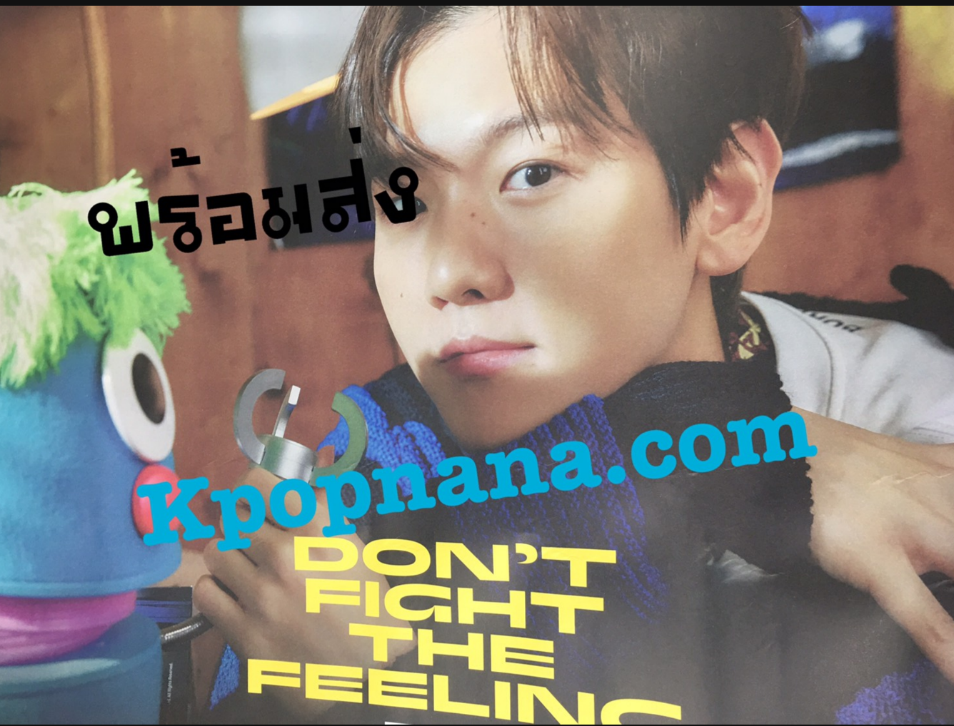 EXO - Special Album [DON’T FIGHT THE FEELING] โปสเตอร์ แบบ ที่ 2 พร้อมส่ง + กระบอกโปสเตอร์