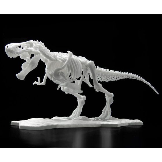 Dinosaur Model Kit Limex Skeleton Tyrannosaurus