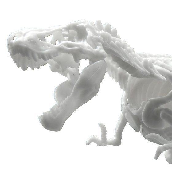 Dinosaur Model Kit Limex Skeleton Tyrannosaurus