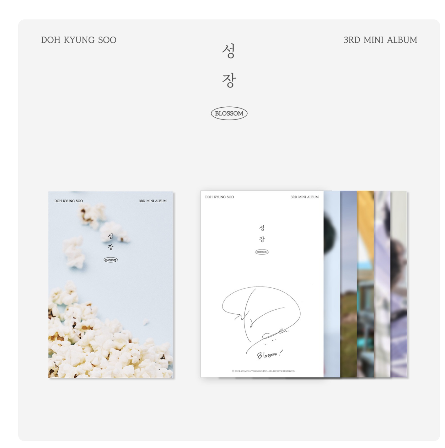 D.O. - (DOH KYUNG SOO) [성장] OFFICIAL MD - POSTCARD SET ( 1 เซต มี 5 แผ่น)